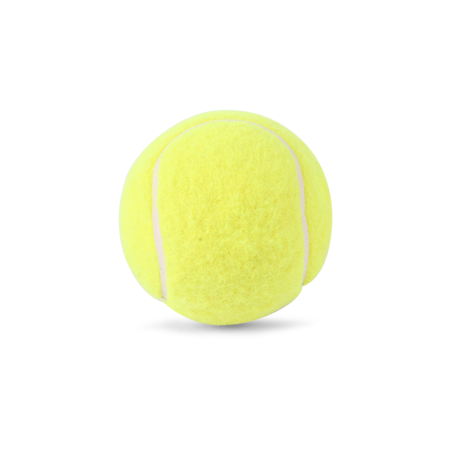 SG Endura Lite Synthetic Ball