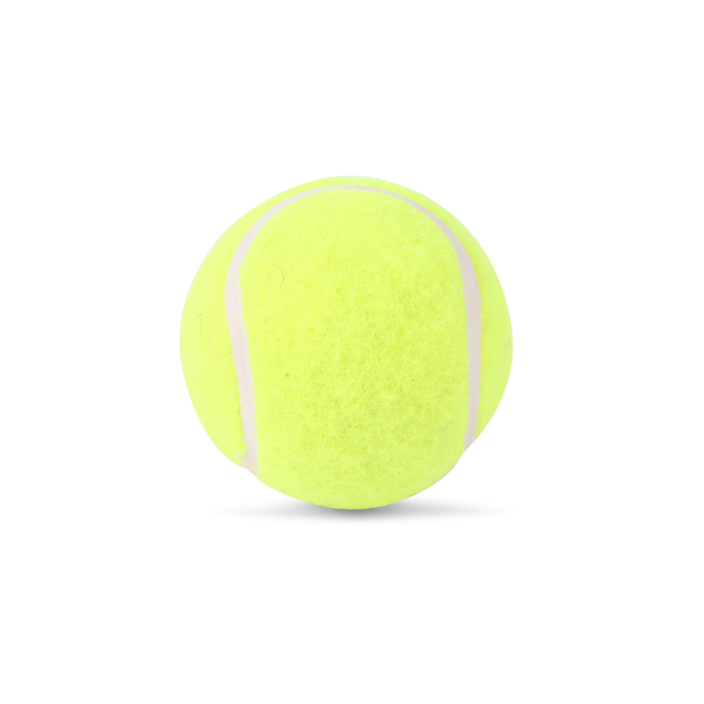 SG Endura Synthetic Ball